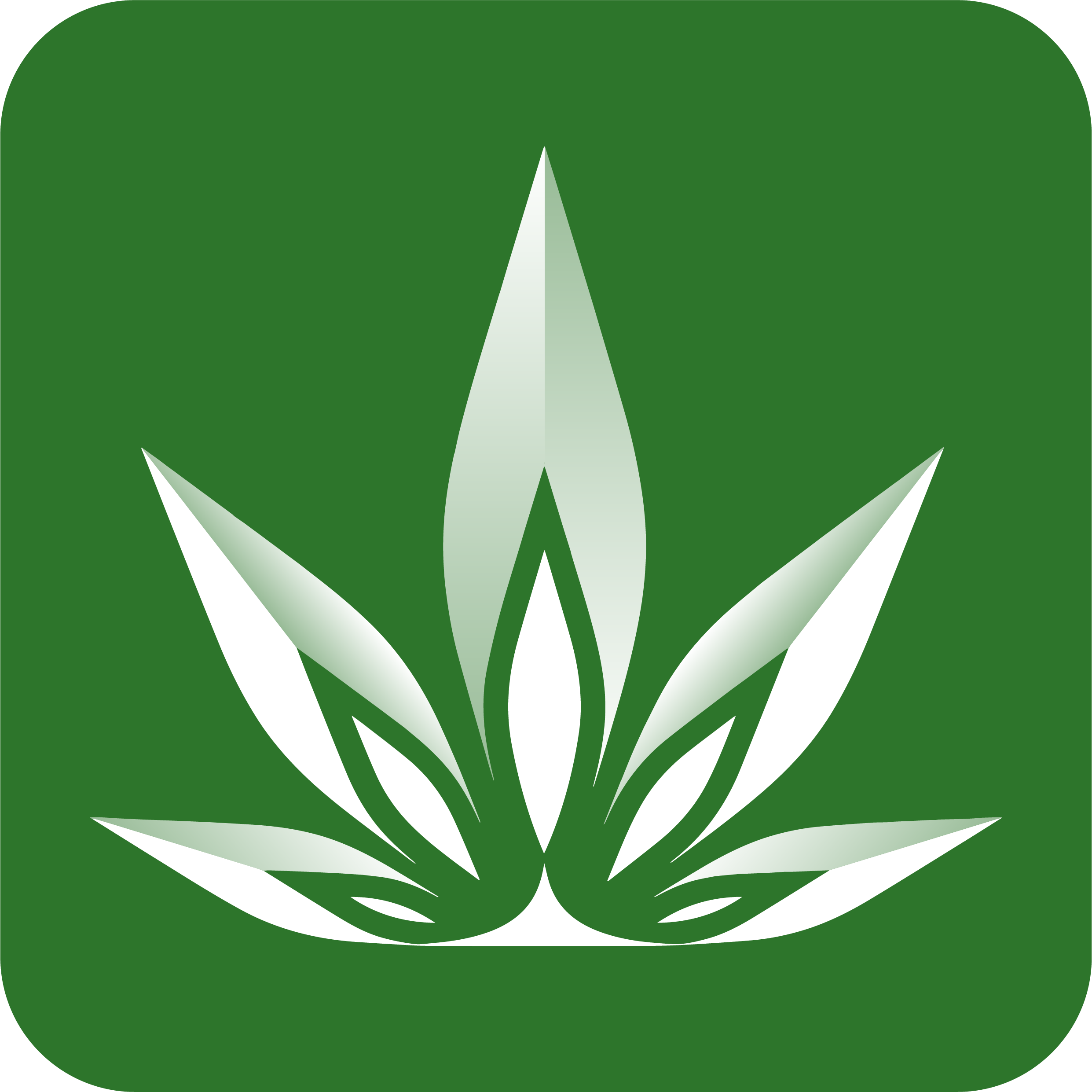 CA ICON